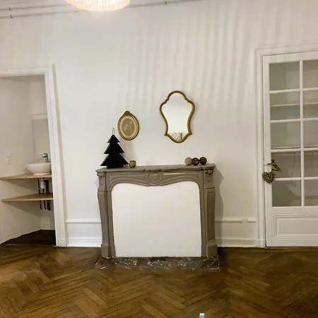 Tres Bel Appartement, Plein Centre Nantes, 190m2 Daire *