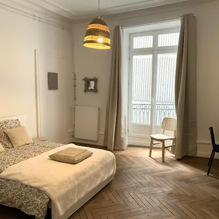 Tres Bel Appartement, Plein Centre Nantes, 190m2 * Nantes
