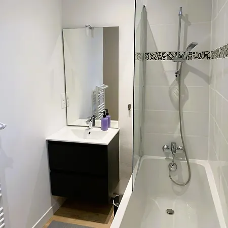 Tres Bel Appartement, Plein Centre Nantes, 190m2 Nantes